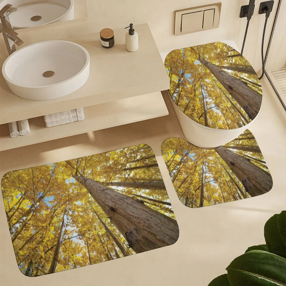 Aspen Trees in Forest — Detail 5