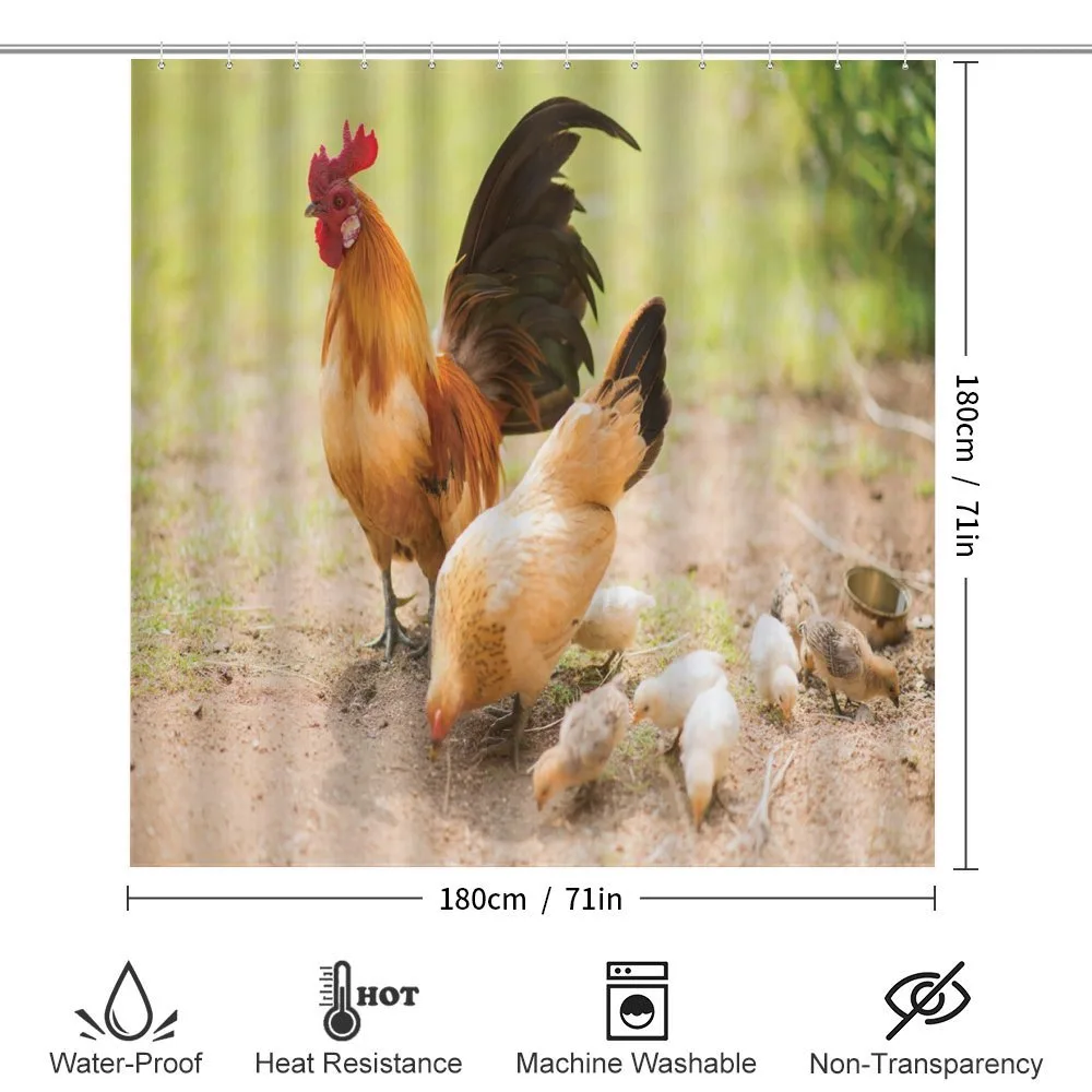 Chicken Family Photo — Detail 2
