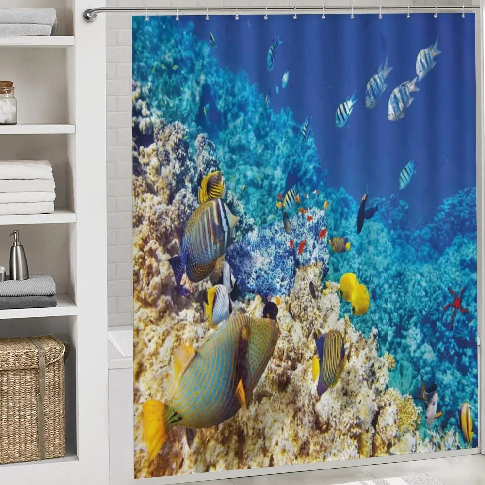 Aquatic Corals — Detail 4
