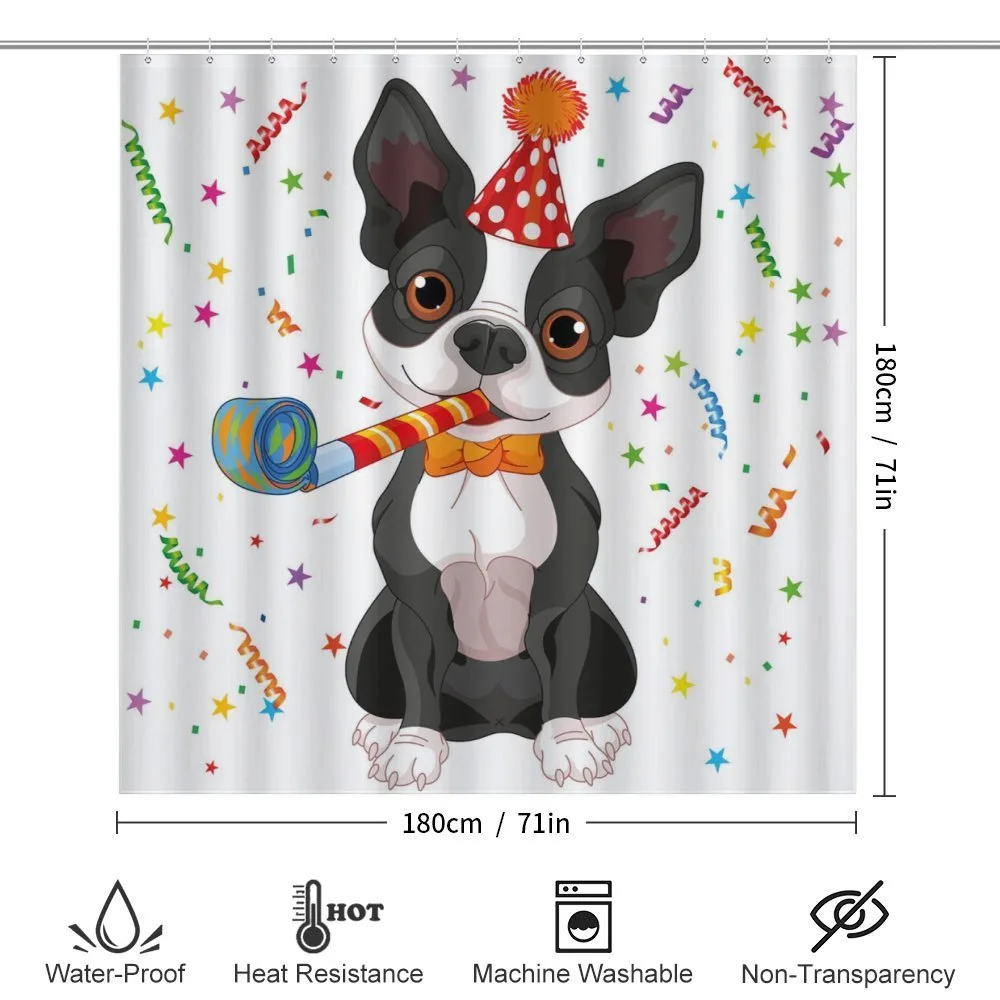 Boston Terrier Dog — Detail 2