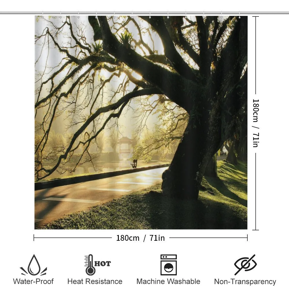Taiping Lake Gardens Woods — Detail 2