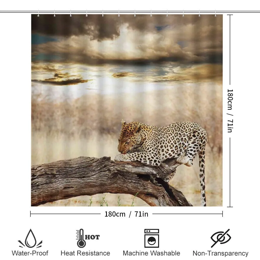 Wild Leopard — Detail 2