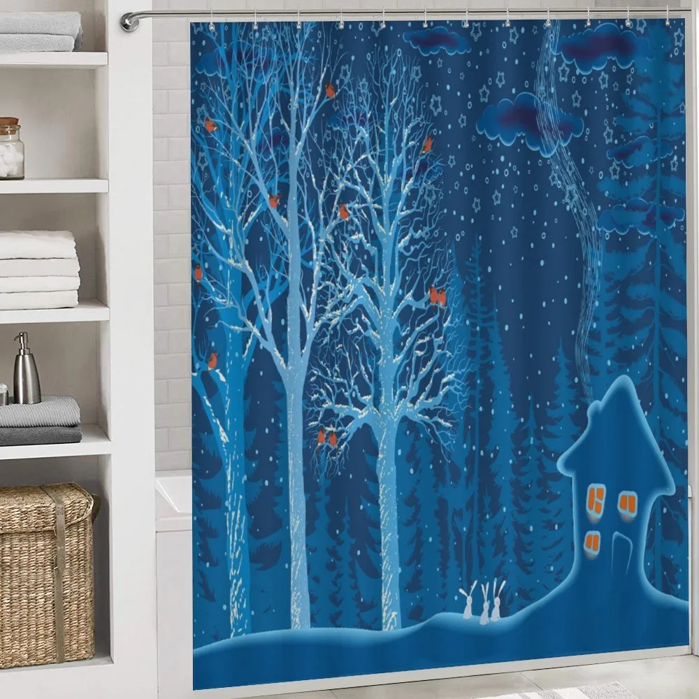 Winter Scenery with Show — Detail 4