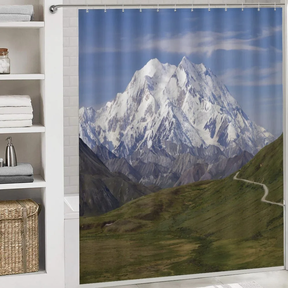 Denali National Park — Detail 4