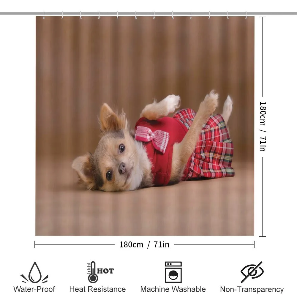 Puppy Wearing Kilt Photo — Detail 2
