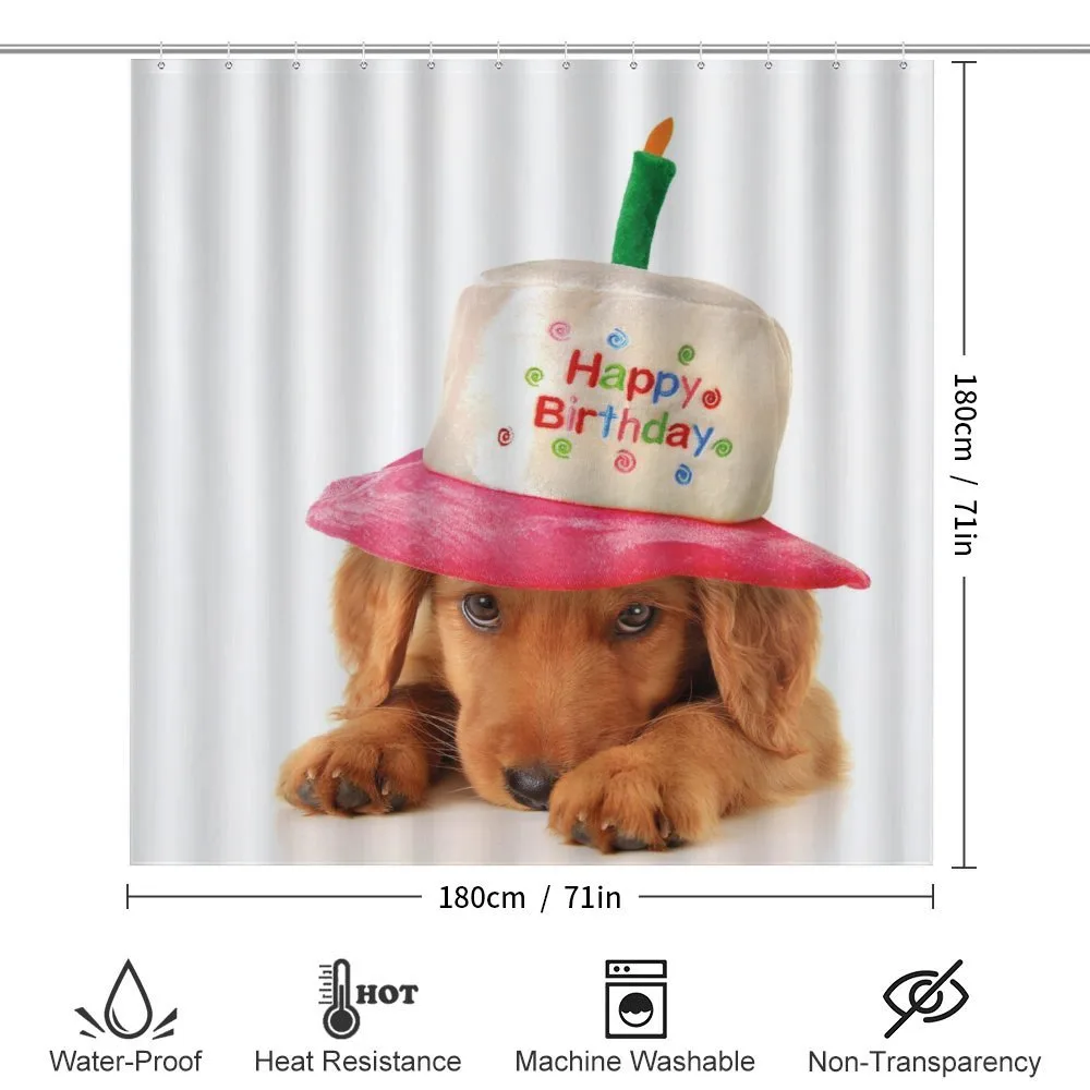 Young Puppy with Hat — Detail 2