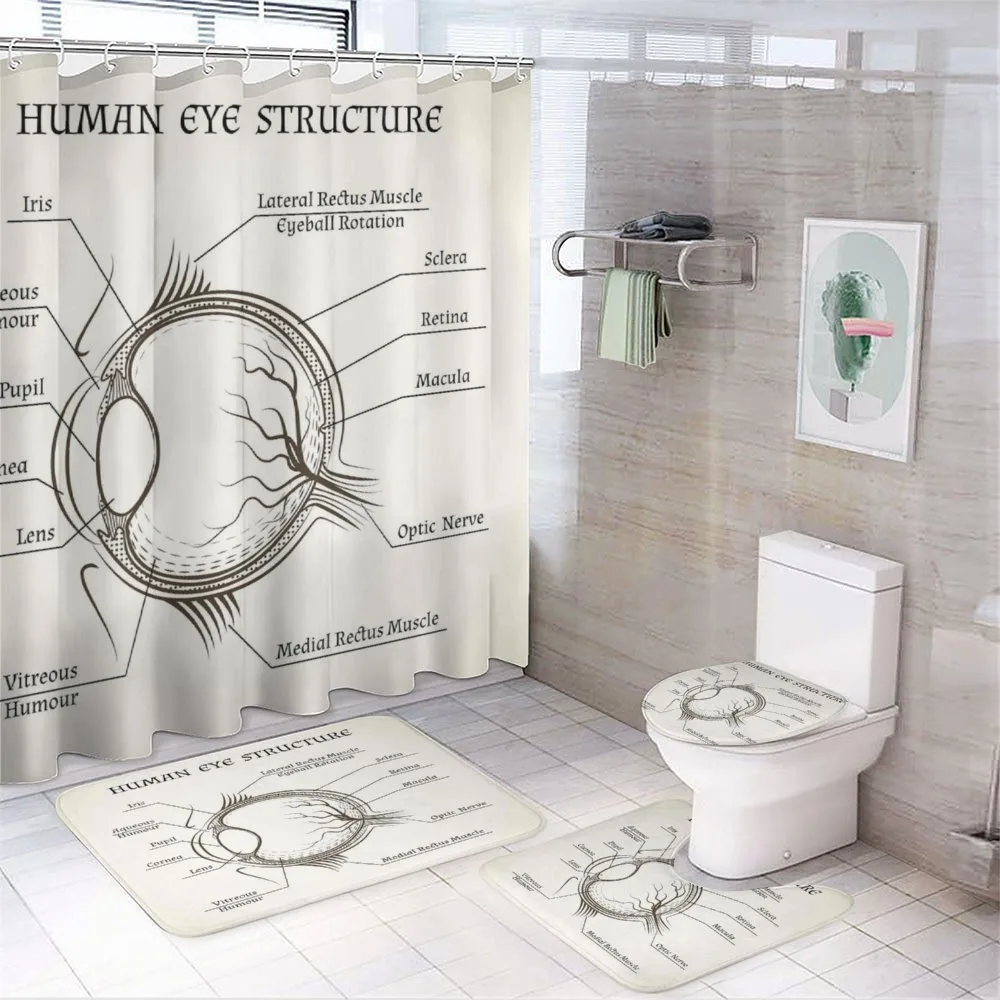 Structure of the Human Eye — Your design