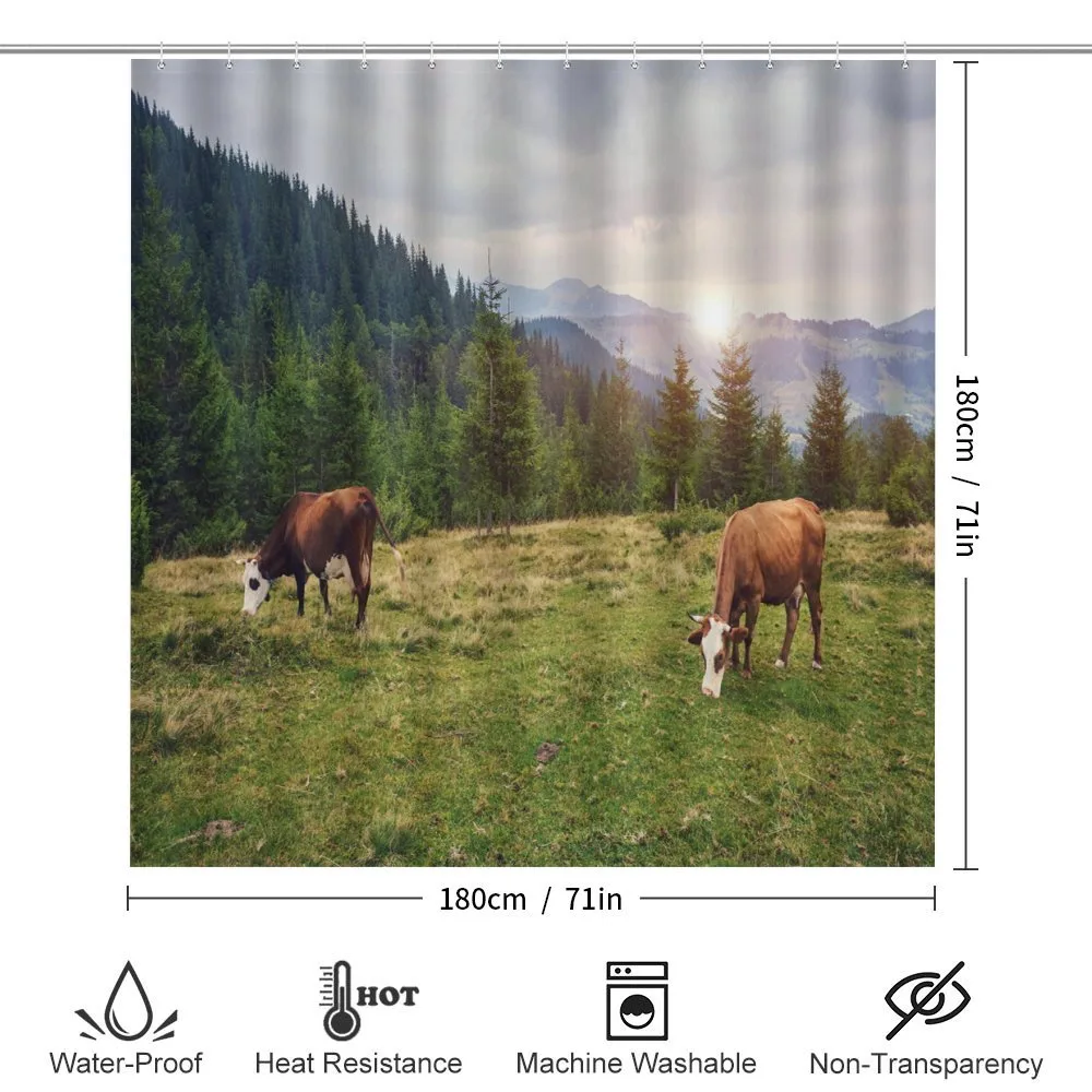 Cows Grazing in Meadow — Detail 2