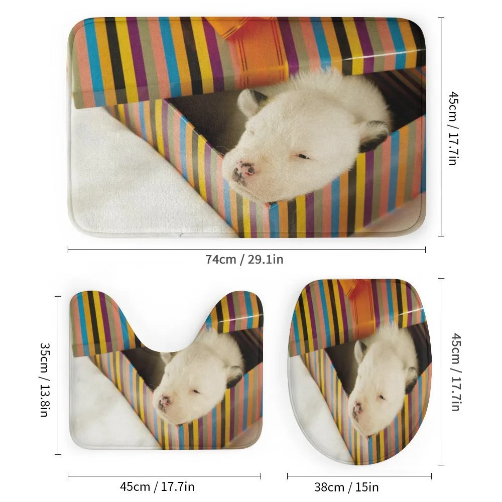 Newborn Dog in Gift Box Photo — Detail 1