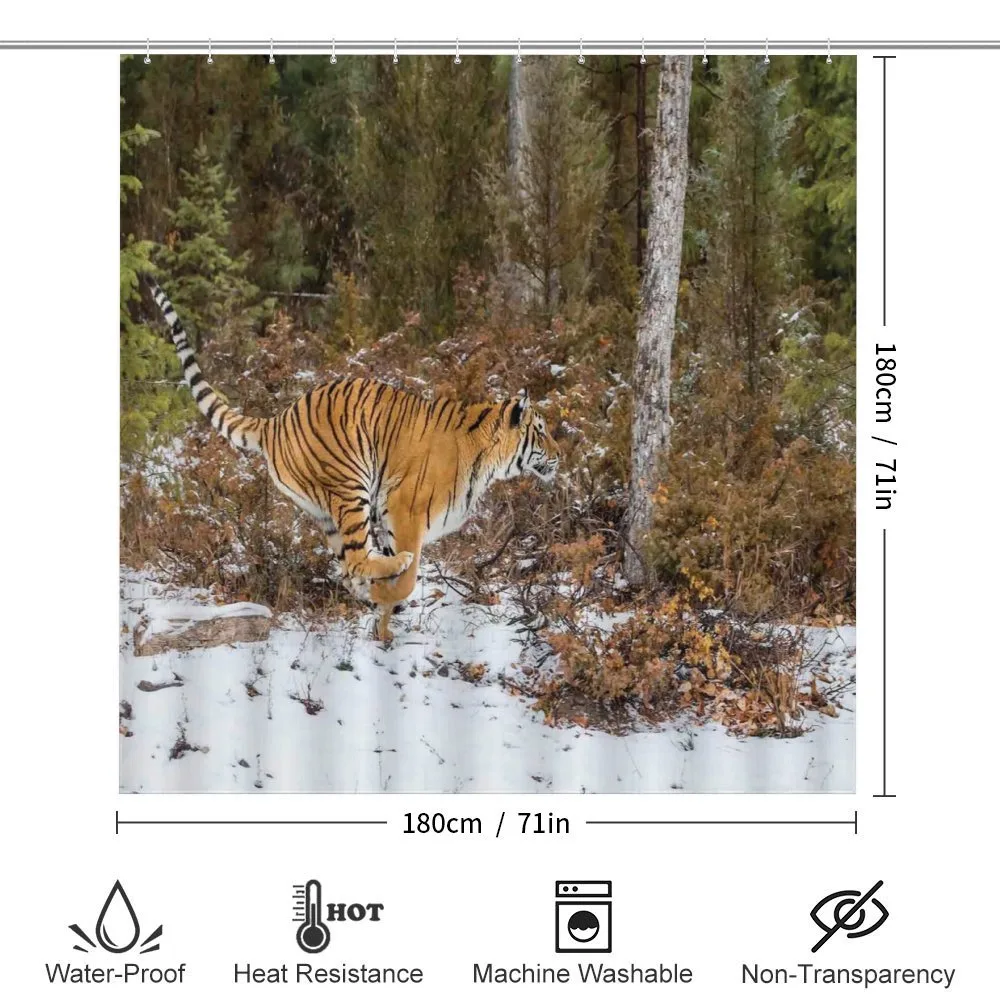 Bengal Tiger Wild Animal — Detail 2