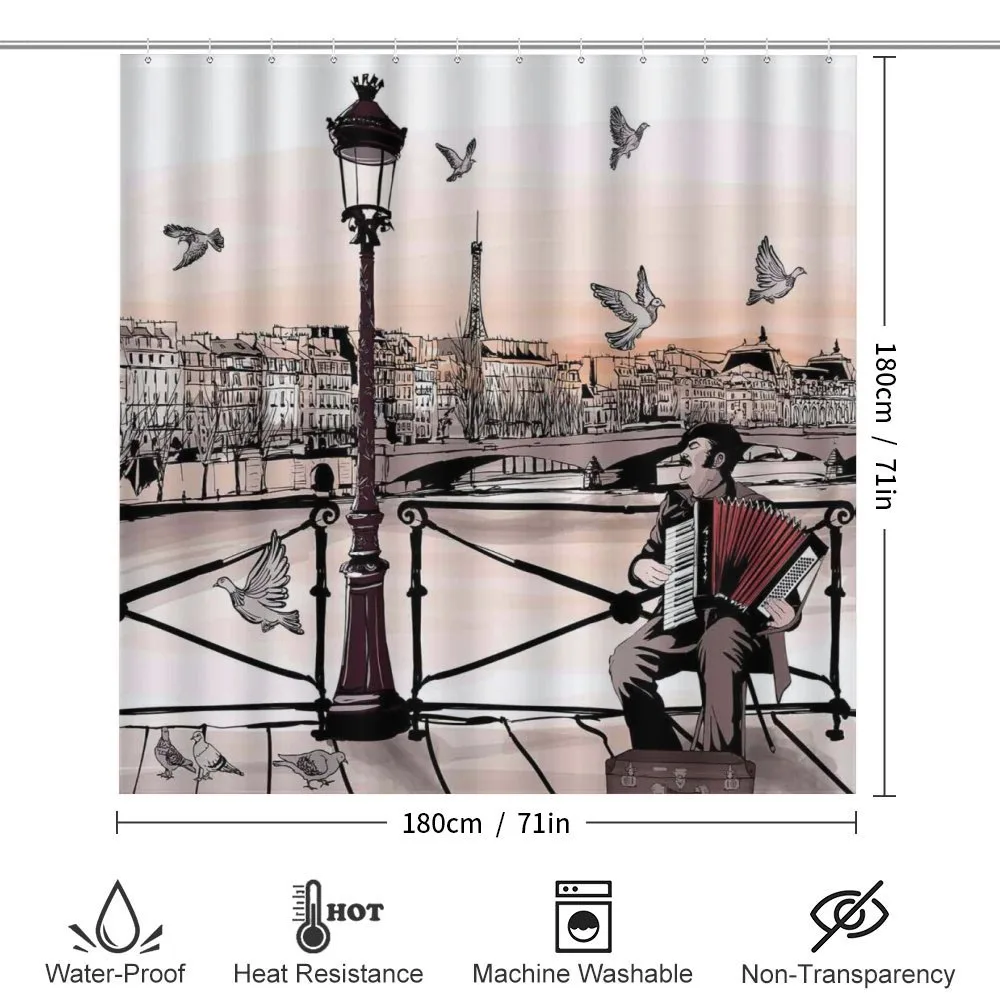 Music Accordionist Paris — Detail 2