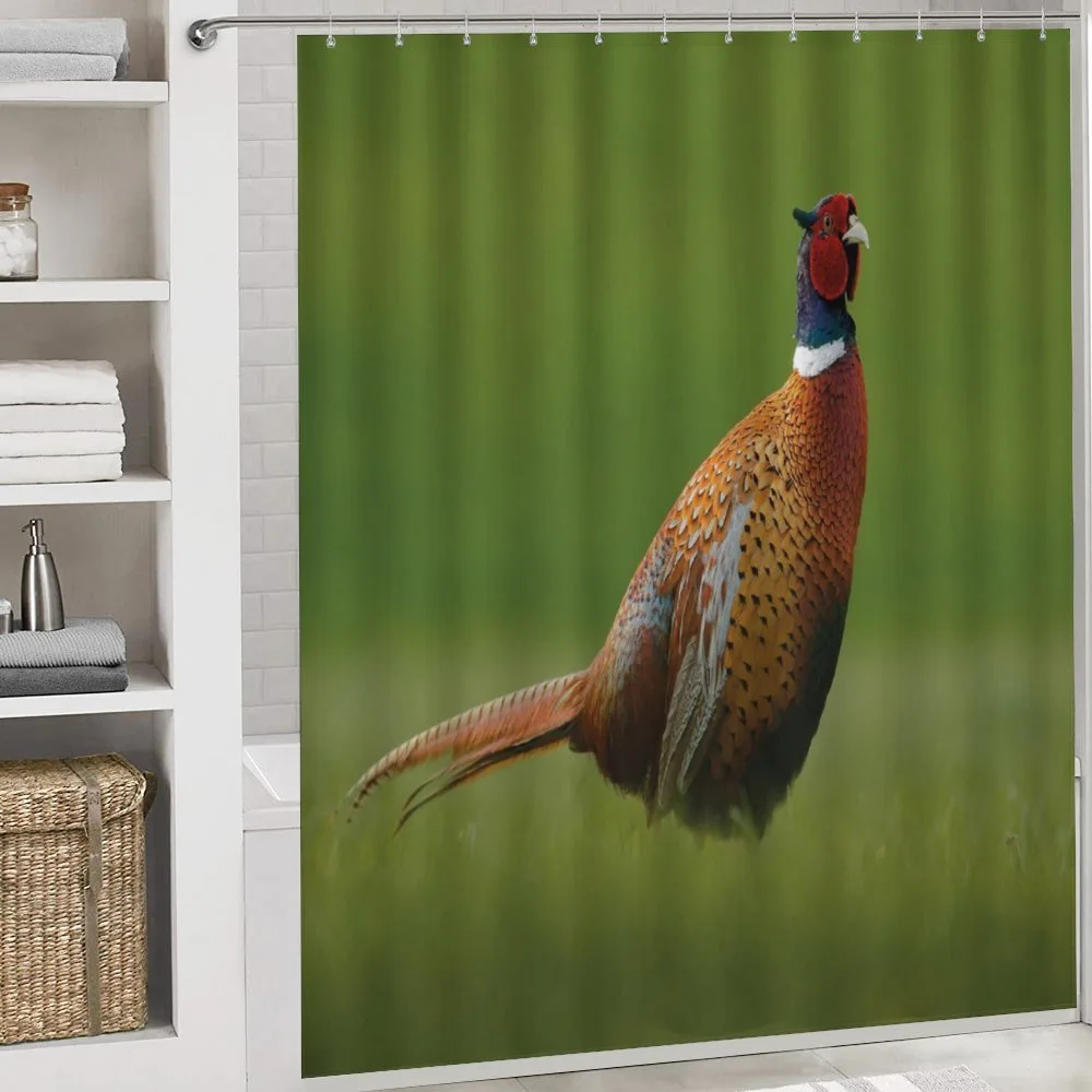 Pheasant Long Tail Meadow — Detail 4
