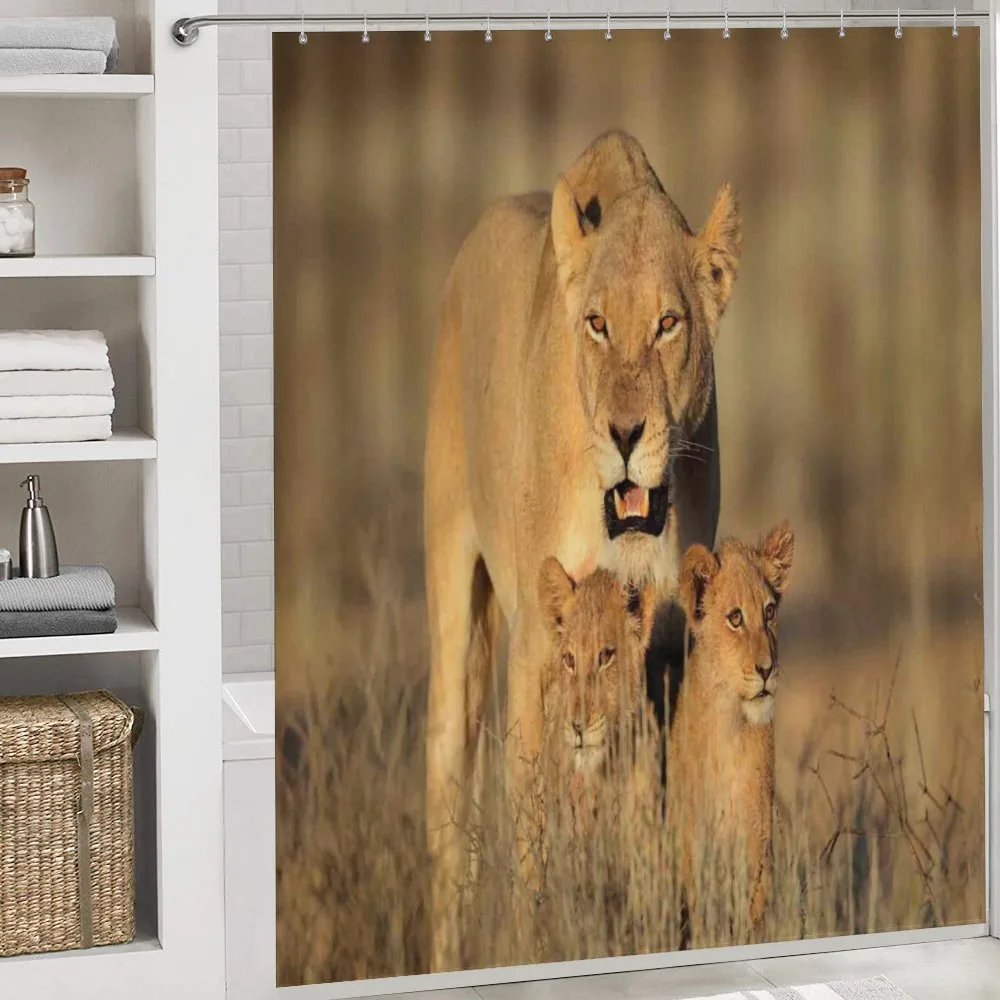 Safari Lions Wilderness — Detail 4