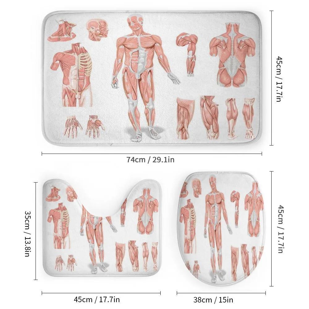 Biology Human Medical — Detail 1
