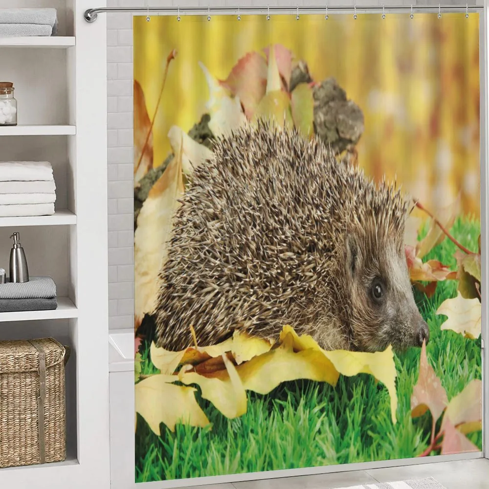 Little Hedgehog — Detail 4