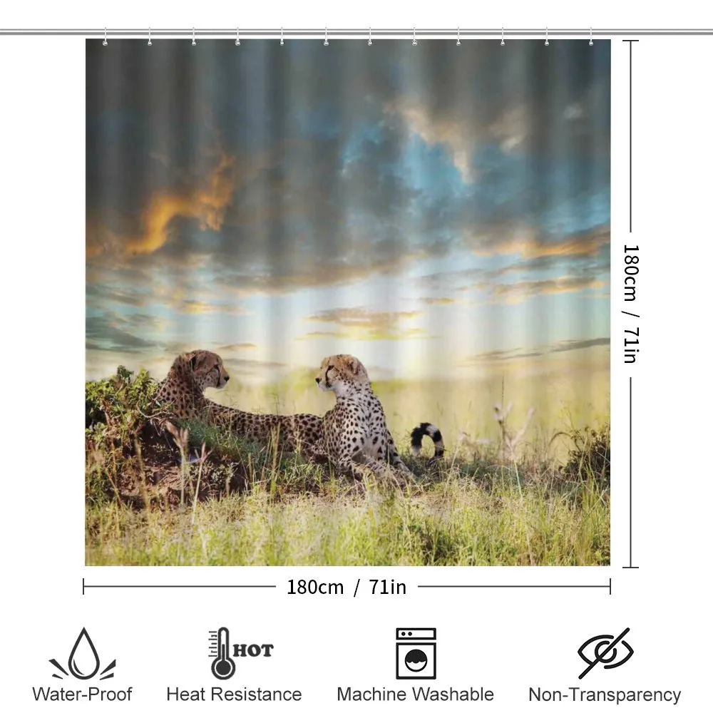 Dangerous Cheetahs in Africa — Detail 2