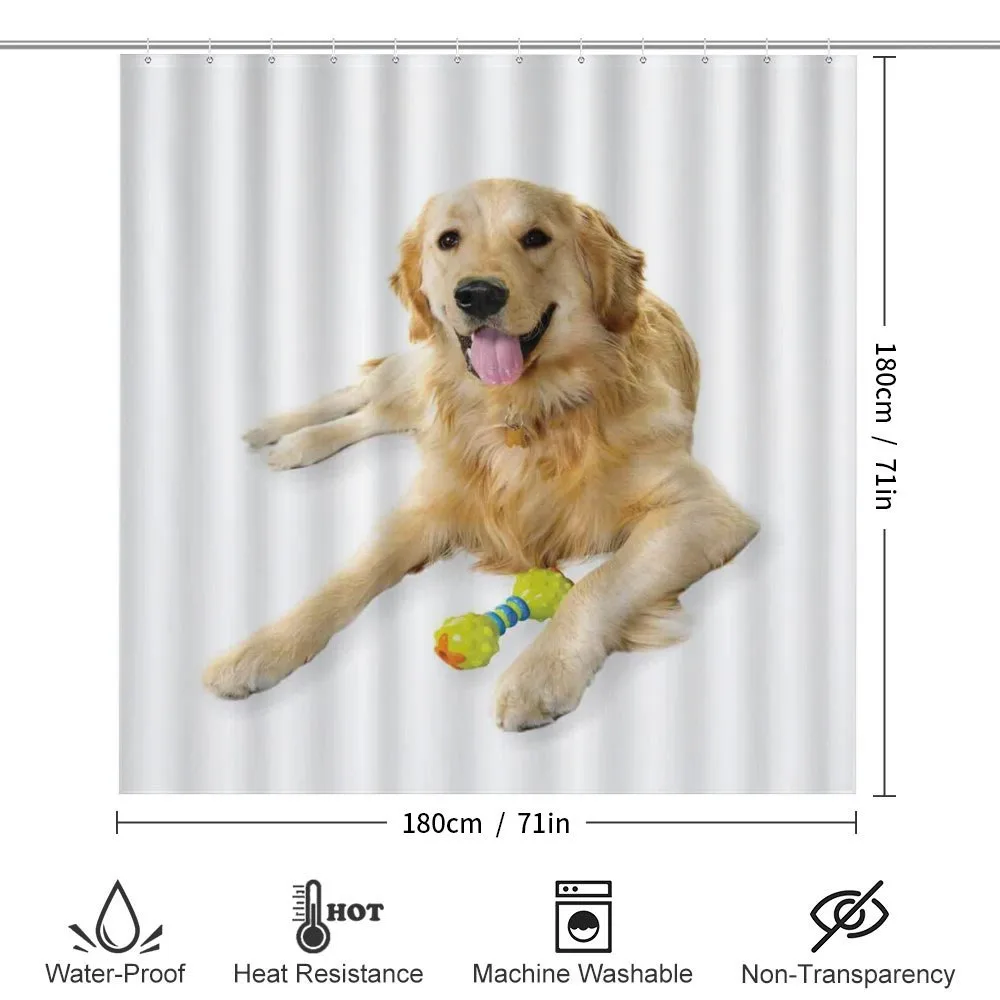 Pet Dog Toy — Detail 2