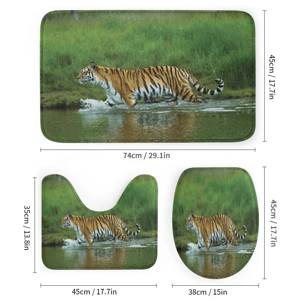 Siberian Tiger Panthera — Detail 1