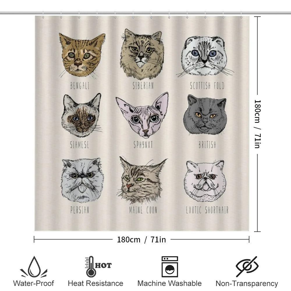 Pet Cat Portraits — Detail 2