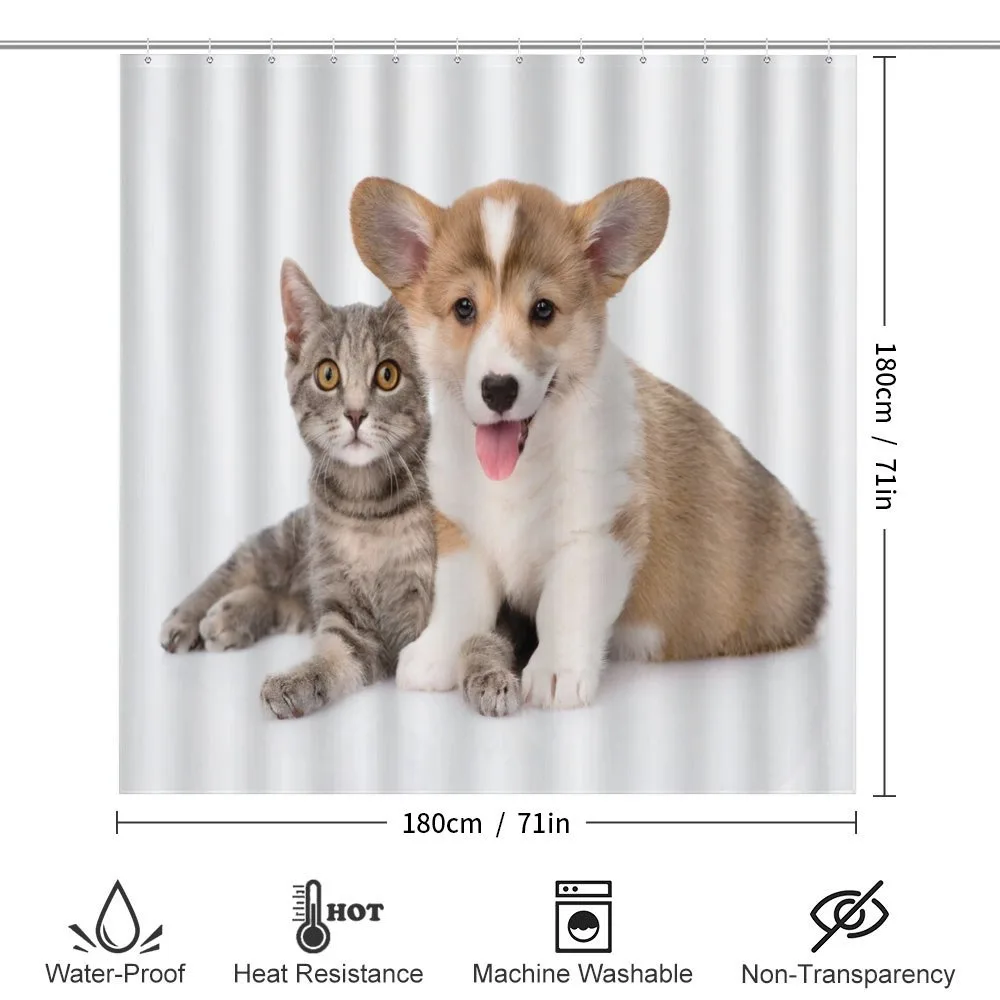 Dog Puppy Kitten Friends — Detail 2