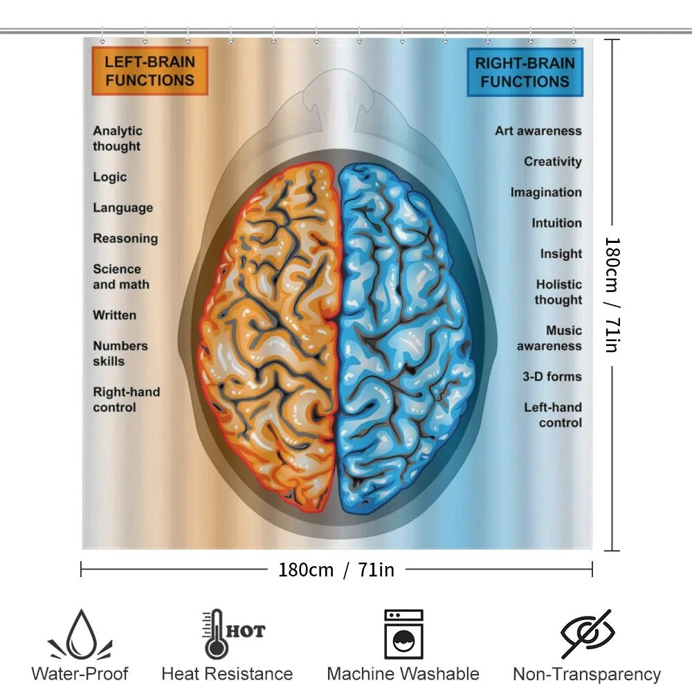 Left Right Brain — Detail 2