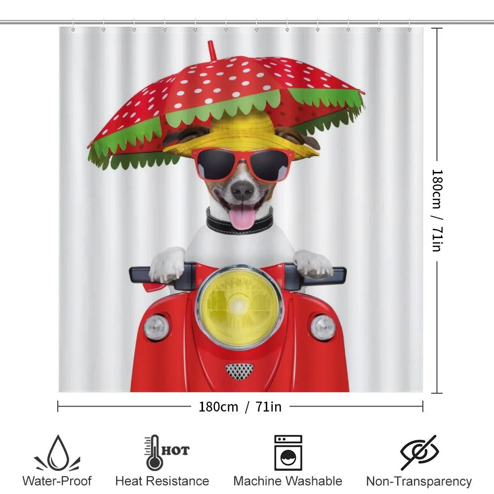Dog Driving a Motorcycle — Detail 2