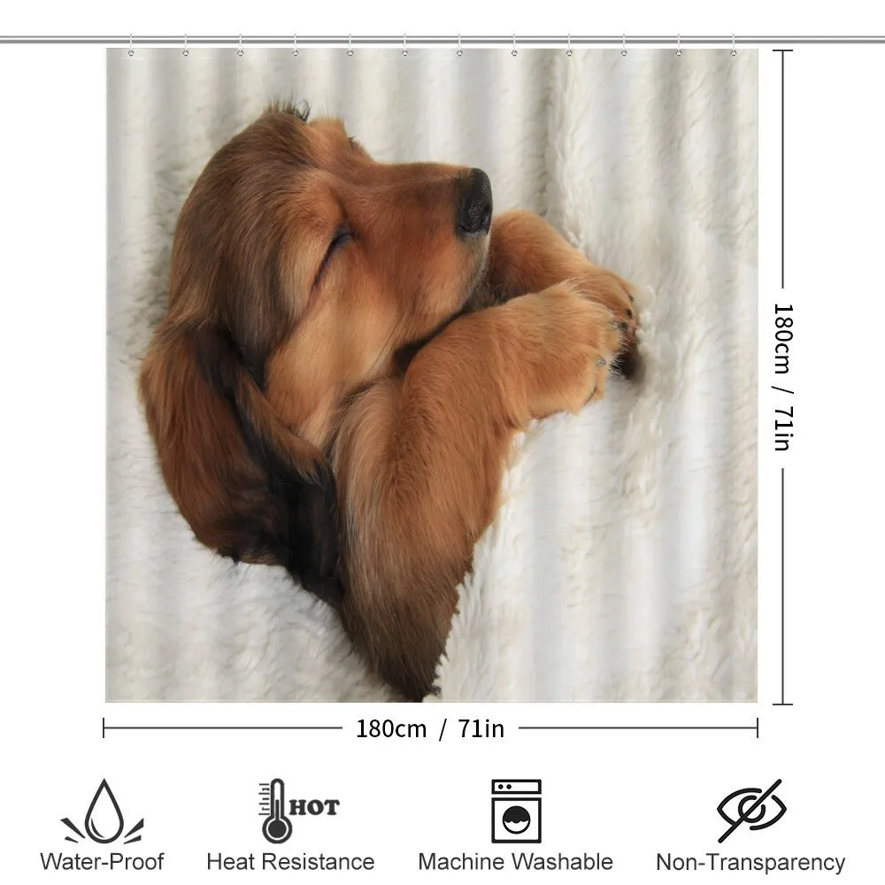 Puppy Sleeping in Its Bed — Detail 2