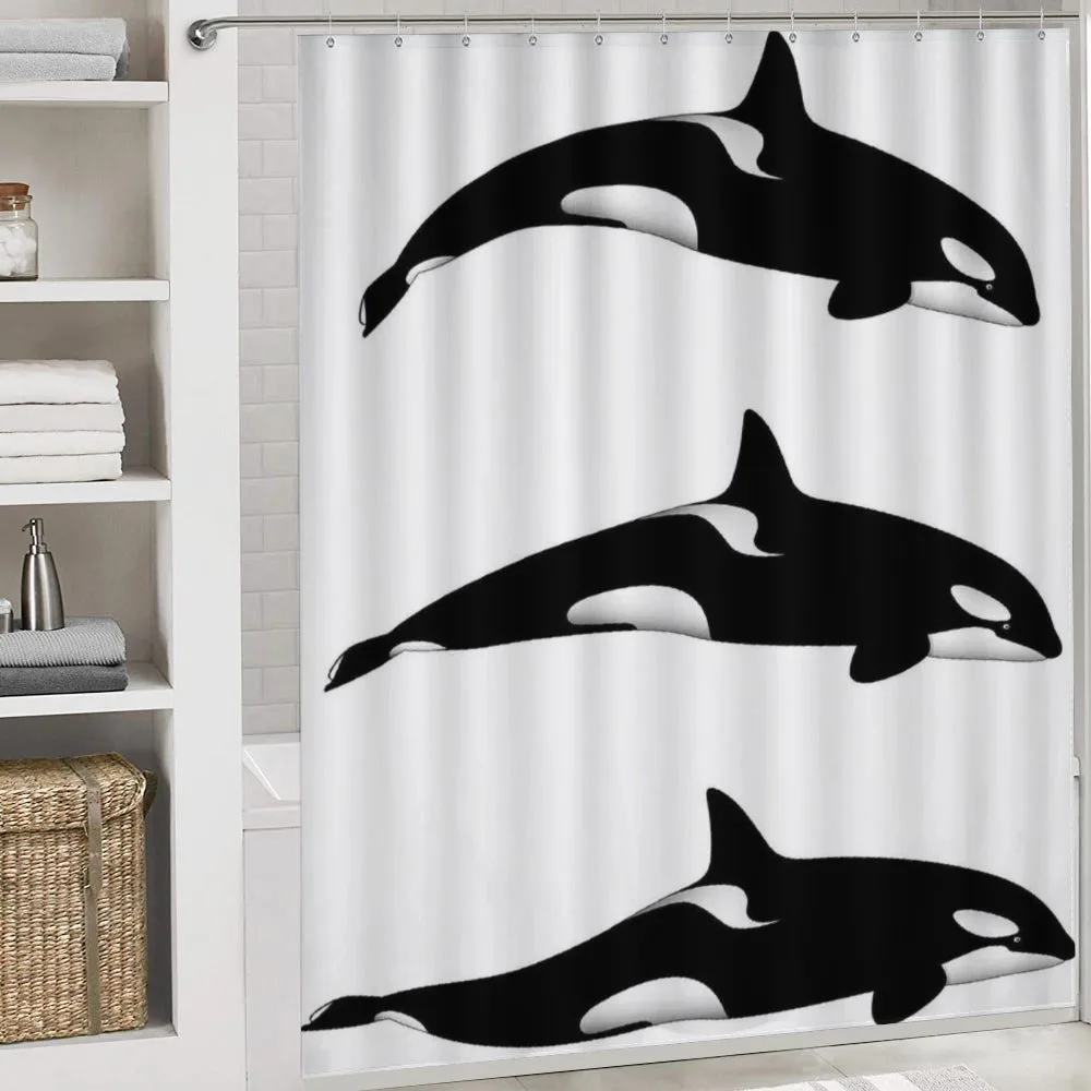 Orca Killer Whales — Detail 4