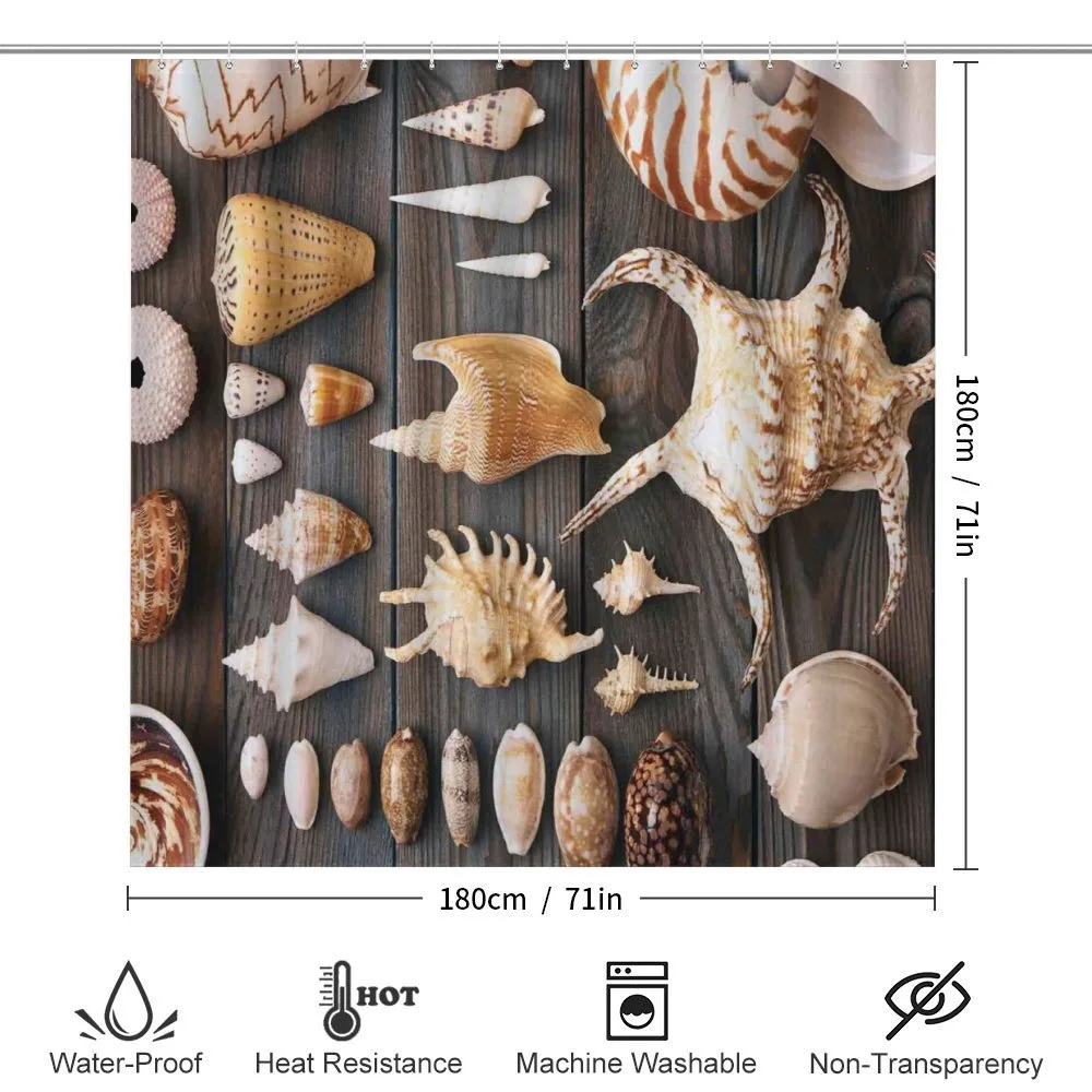 Countryside Beach Shell — Detail 2