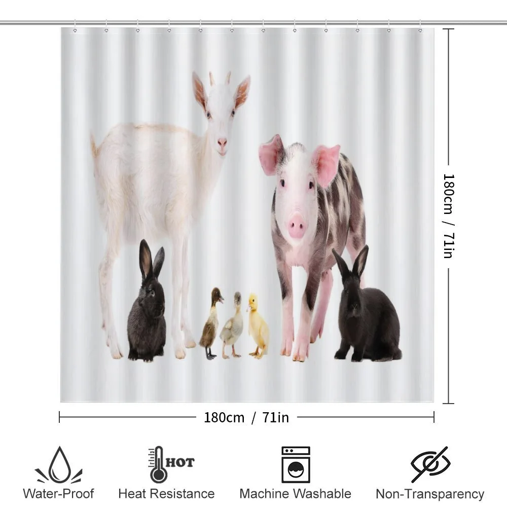 Ducks Pig Goat Bunnies — Detail 2