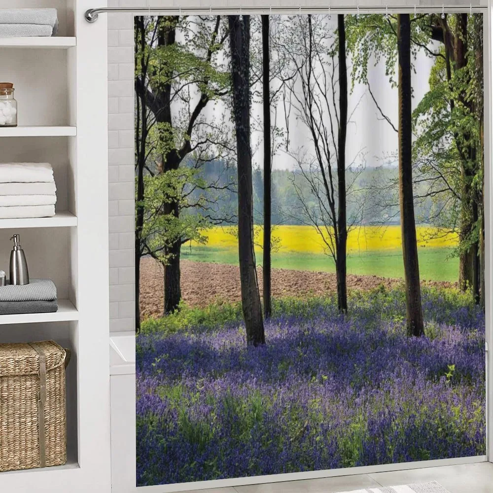 Bluebells Forest Rural — Detail 4