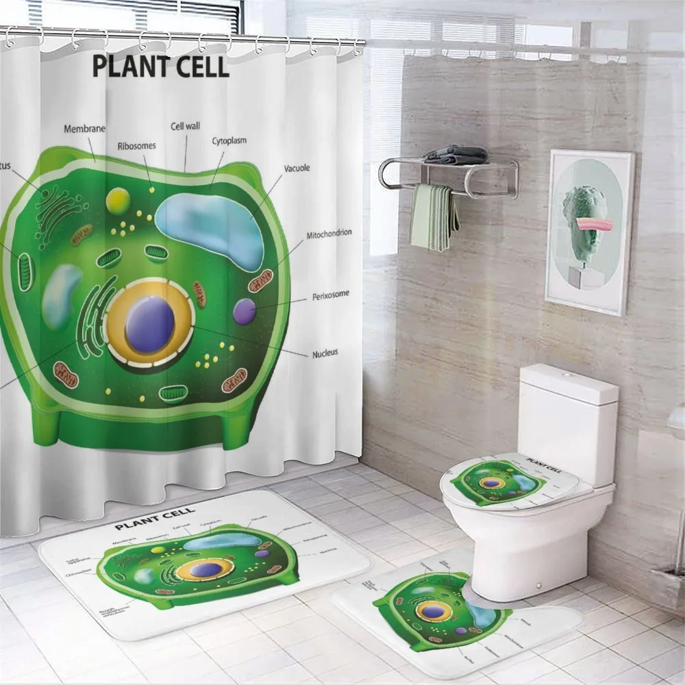 Cell Biology Plant — Your design