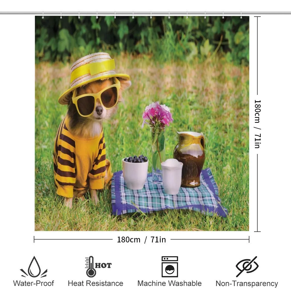 Clothed Puppy at Picnic — Detail 2