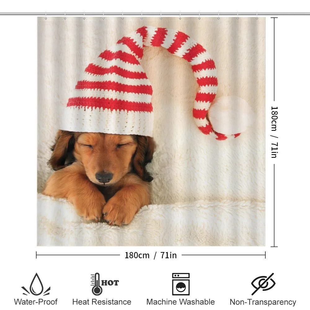 Dog in Christmas Elf Hat — Detail 2
