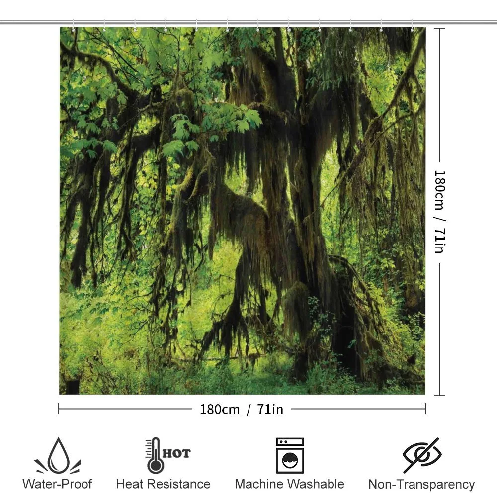 Moss Jungle Wildlife — Detail 2