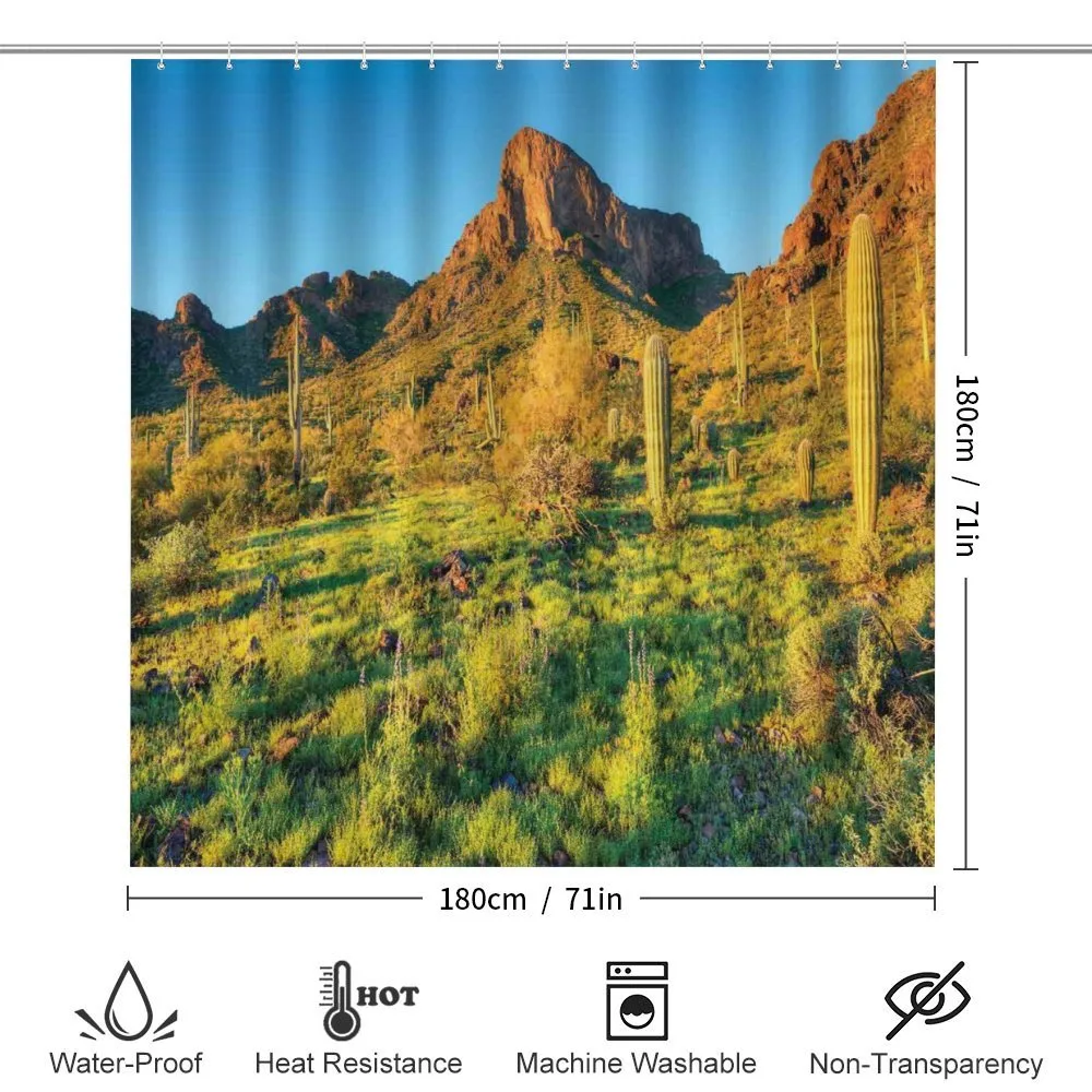Picacho Peak and Sun — Detail 2