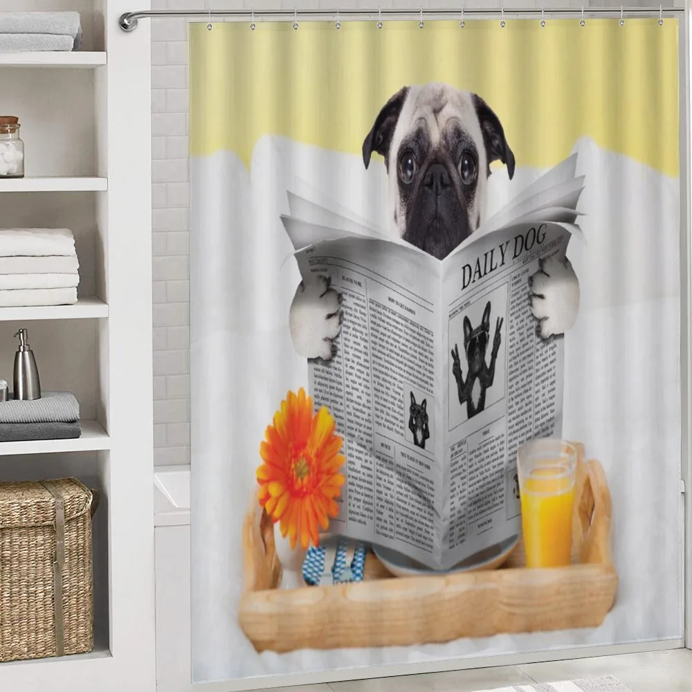 Pug Reading News Daily Dog — Detail 4
