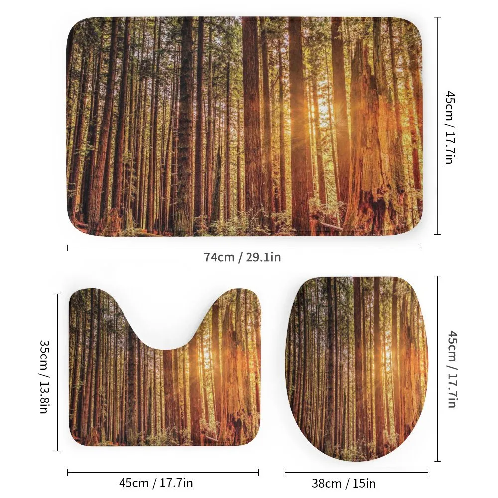 Redwoods Forestry — Detail 1