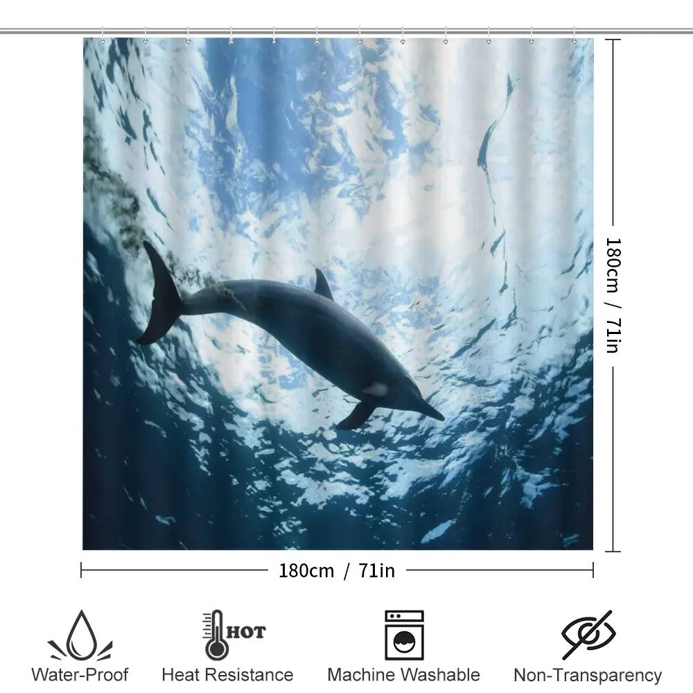 Swimming Dolphin — Detail 2