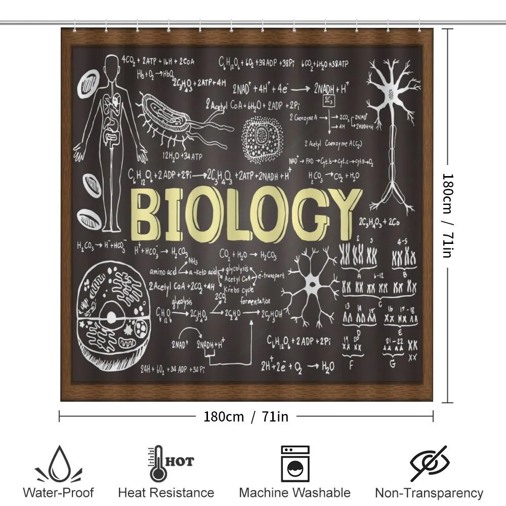 Biology — Detail 2