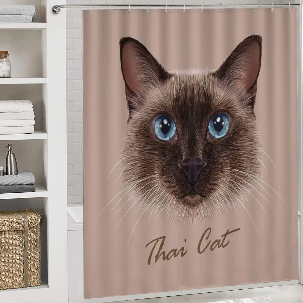 Domestic Animal Siamese Cat — Detail 4