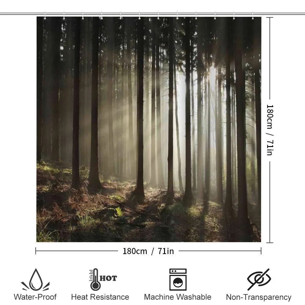 Morning Forest Scenery — Detail 2