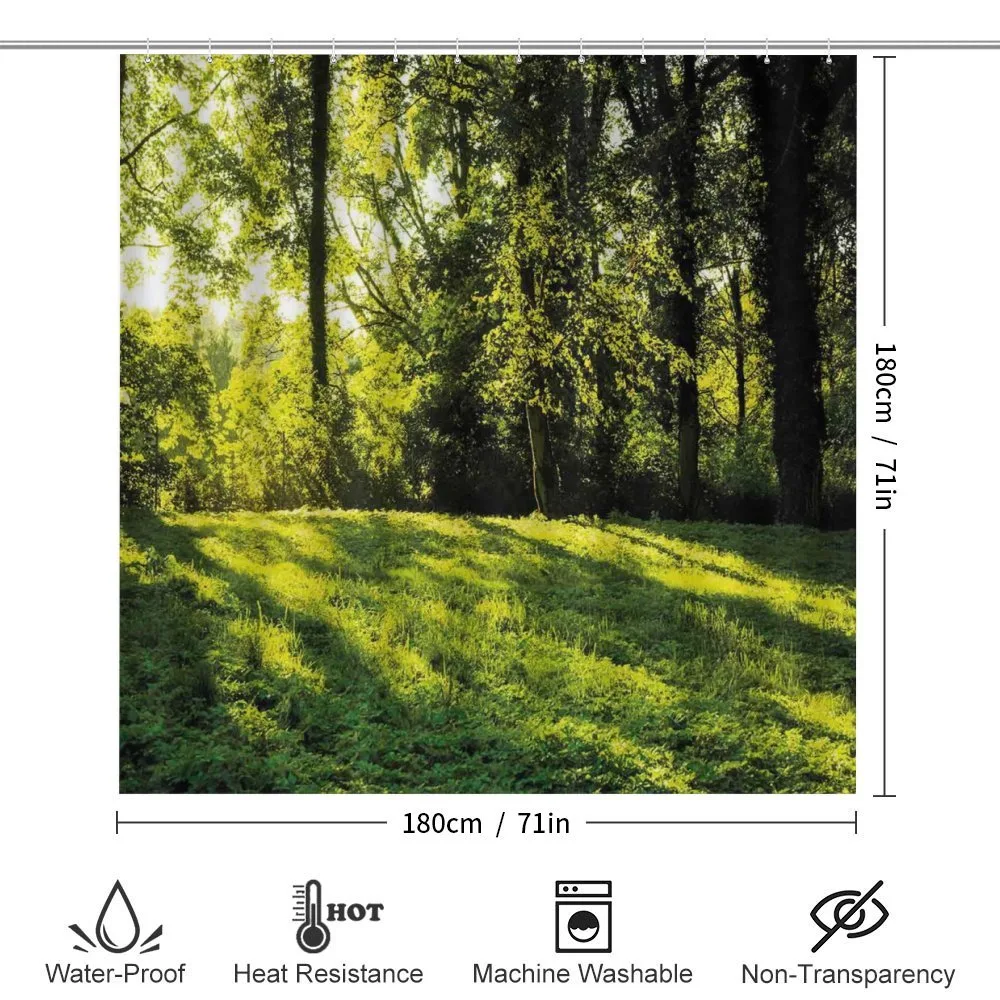 Rising Sun Beams Forest — Detail 2