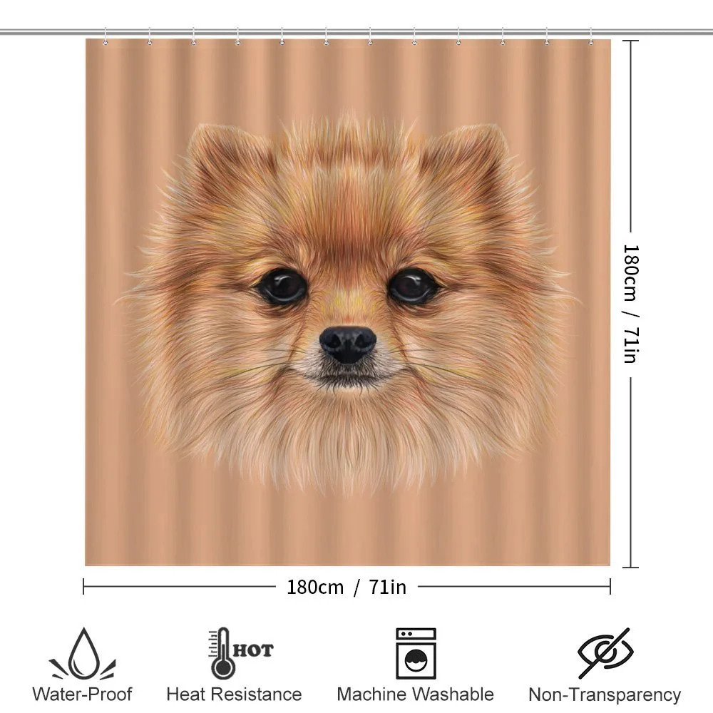 Vintage Pomerian Dog — Detail 2
