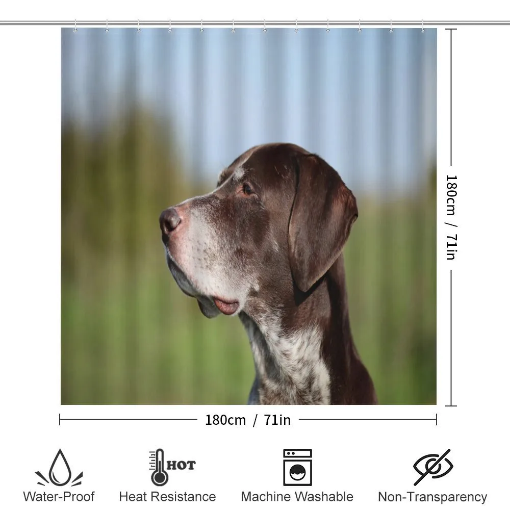 German Pointer — Detail 2