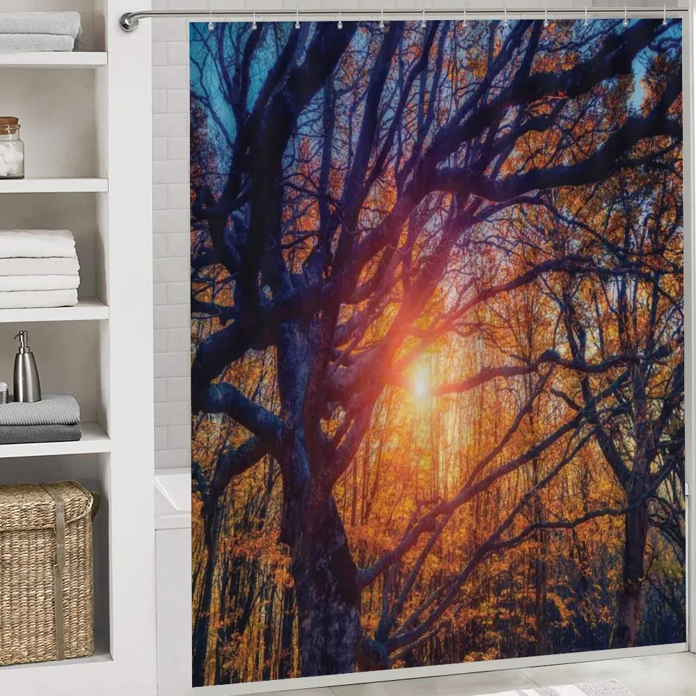 Majestic Trees Woods — Detail 4