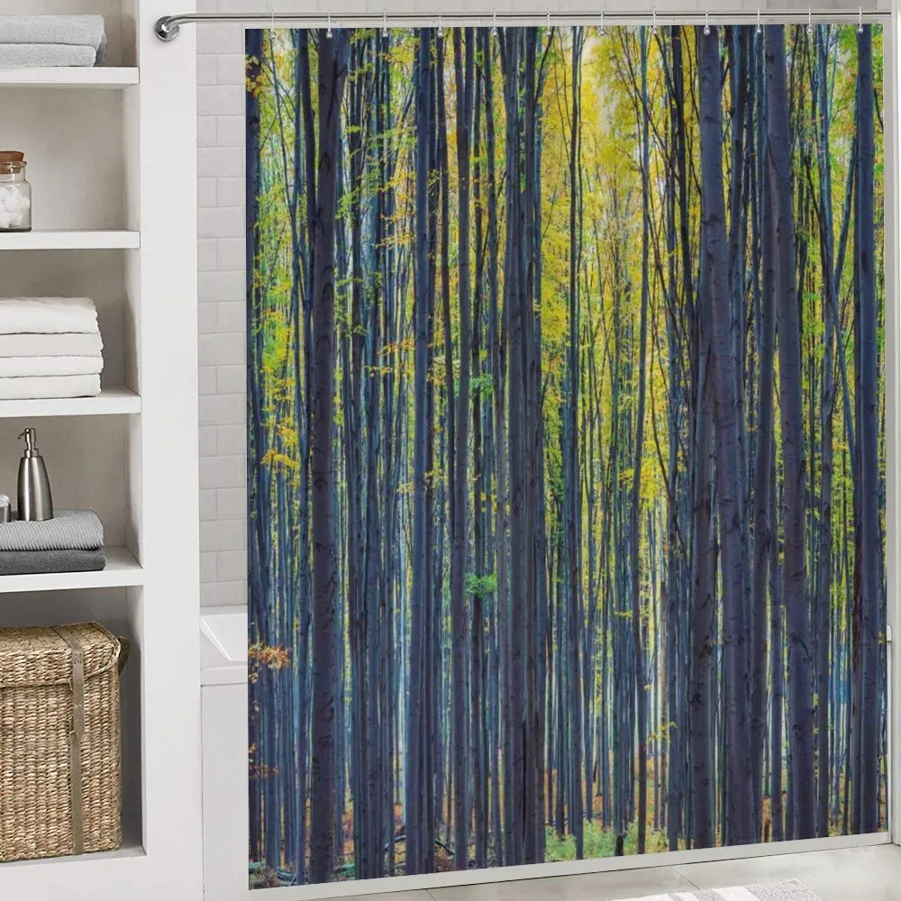 Autumn Woodland Nature — Detail 4