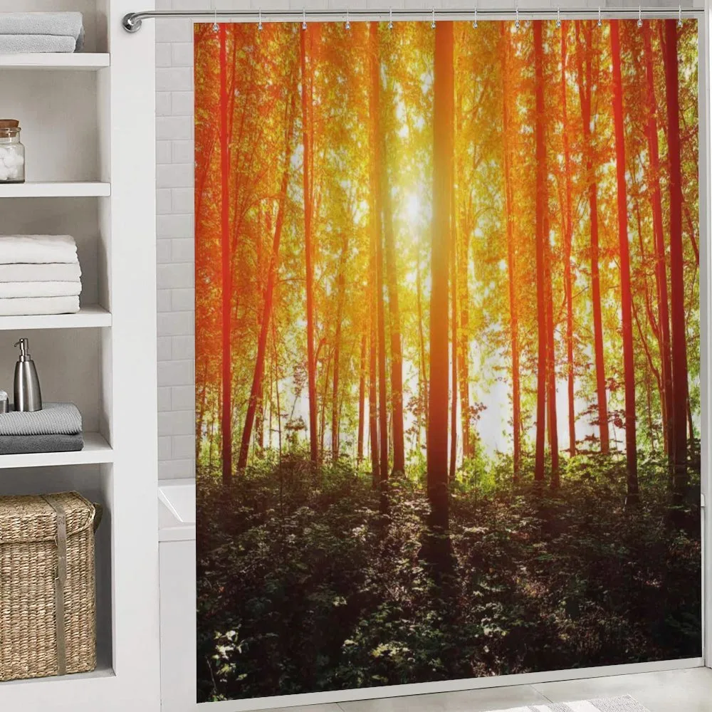 Foggy Forest Scenery — Detail 4