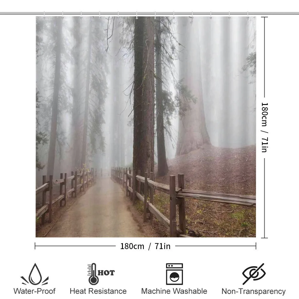 Forest in Foggy Morning — Detail 2