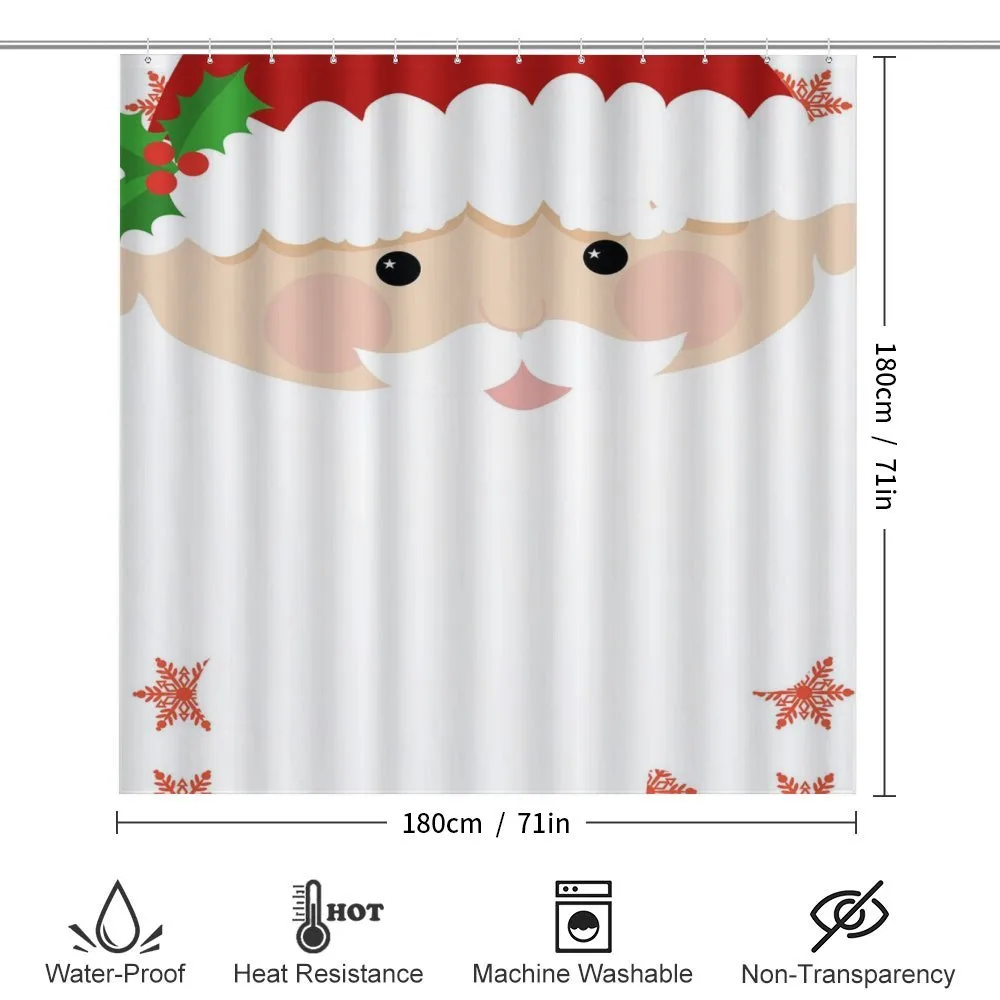 Cartoon Face Santa — Detail 2